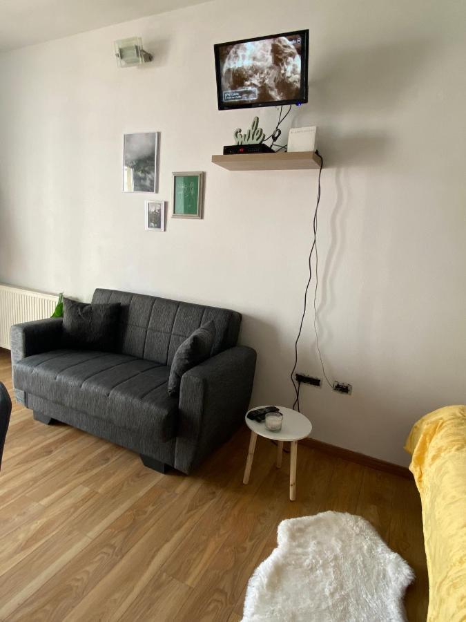 Green Studio Timișoara Zewnętrze zdjęcie